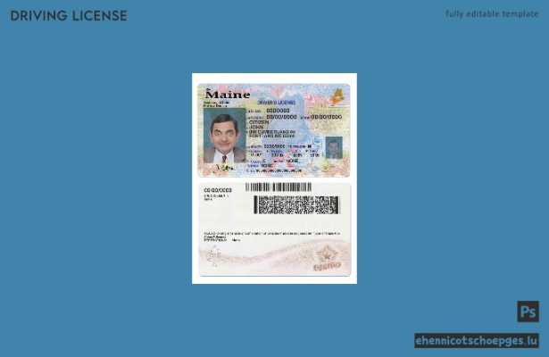 USA Maine Staatsführerschein 2019 - heute – Beispielvorschau